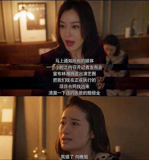 娱乐圈吃瓜群众直播小说,直播吃瓜，揭秘明星幕后生活