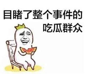 吃瓜娱乐微博文案搞笑版,微博文案搞笑版大盘点