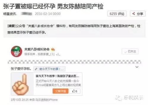 娱乐吃瓜八卦吐槽,吃瓜群众吐槽大会