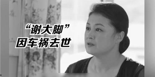 娱乐圈圈吃瓜群众是谁呀,揭秘“吃瓜群众”背后的神秘人物
