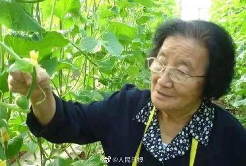 娱乐吃瓜君王鸥是谁啊,王鸥的星光之路