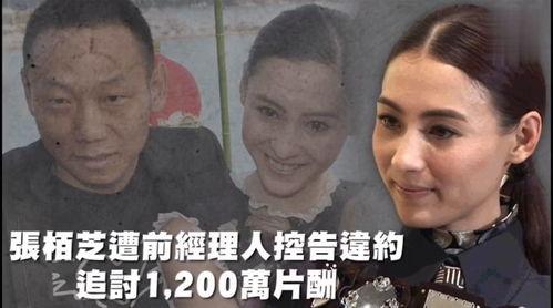娱乐日常吃瓜,揭秘明星幕后故事