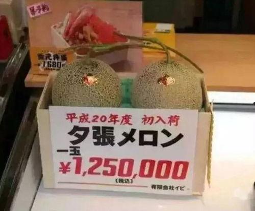 娱乐号吃瓜,吃瓜群众背后的故事