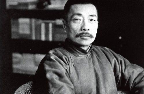 娱乐吃瓜酱鲁迅,揭秘娱乐圈的荒诞与真实