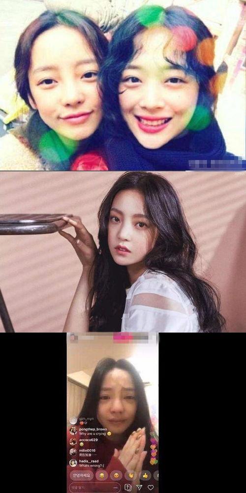 娱乐圈吃瓜事件下载,揭秘幕后真相与惊人内幕