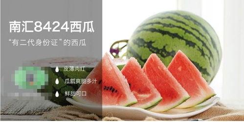 晋江娱乐圈吃瓜文推荐,揭秘明星背后的那些事