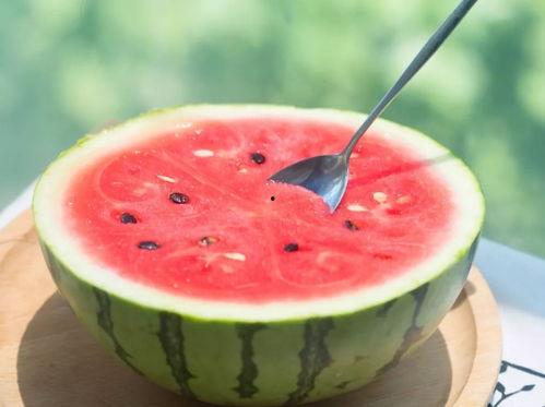 晋江娱乐圈吃瓜文推荐,揭秘明星背后的那些事