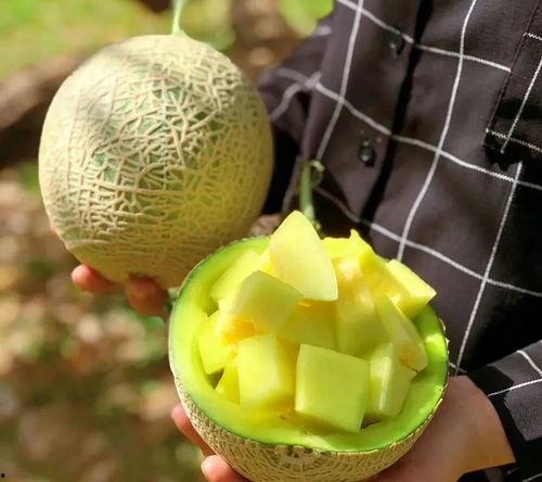 娱乐圈吃瓜切片,揭秘明星背后的故事与真相