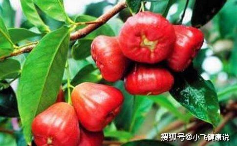 娱乐吃瓜酱皮肤管理,皮肤管理新潮流