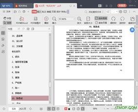娱乐圈吃瓜pdf文件,PDF文件深度解析