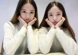 娱乐吃瓜酱高考700,娱乐吃瓜酱的逆袭之路