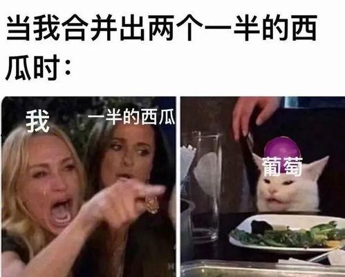 沙雕娱乐圈吃瓜小说推荐,揭秘明星背后的疯狂故事