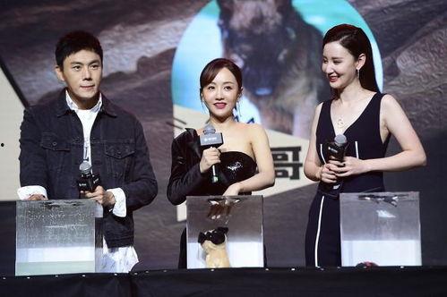 娱乐圈综艺吃瓜爆料小说,揭秘明星背后的秘密与真相