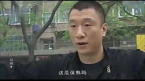 吃瓜娱乐酱王武,揭秘王武生成背后的故事与魅力