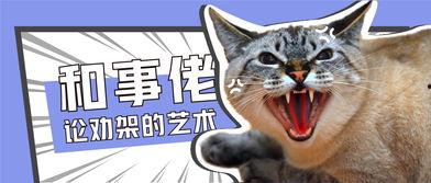 娱乐吃瓜酱猫打翻电视,引发网友热议